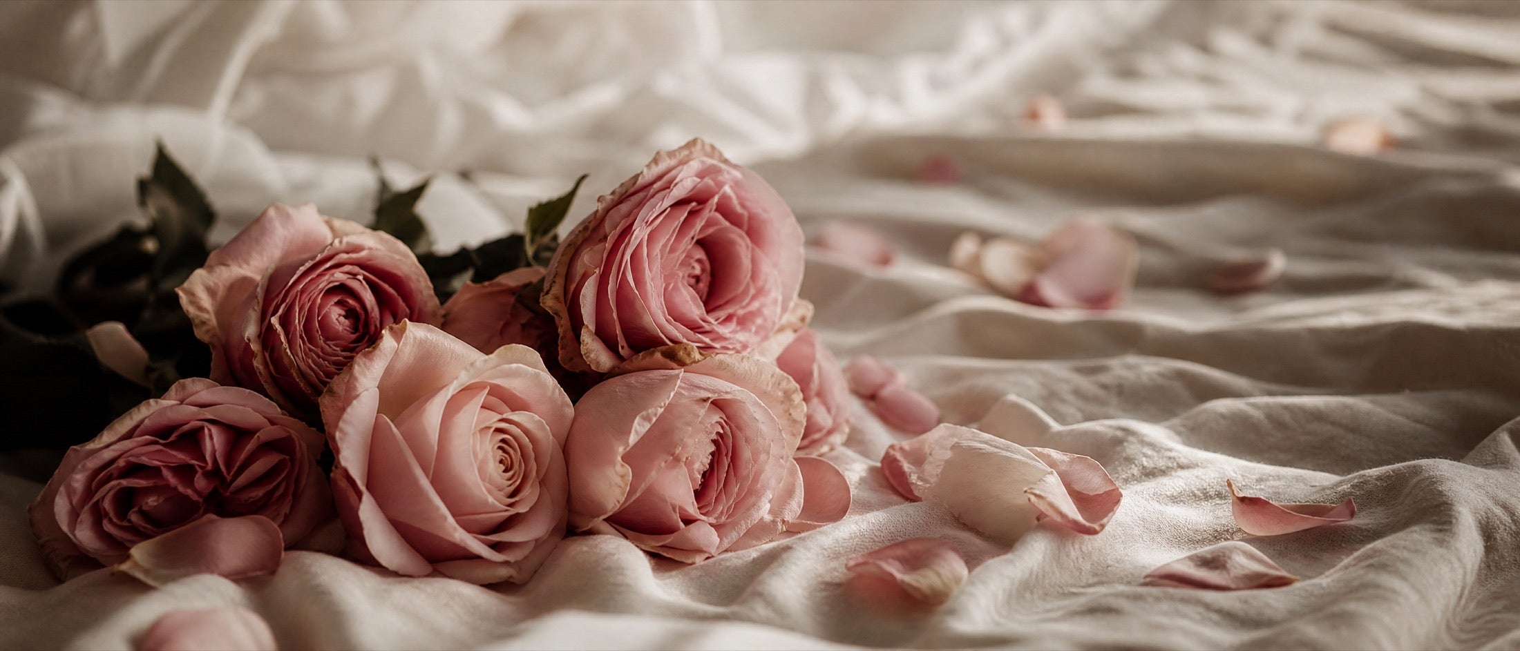 Suction & Rose